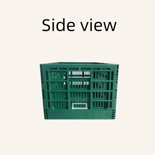 Collapsible Vegetable Crates suppliers
